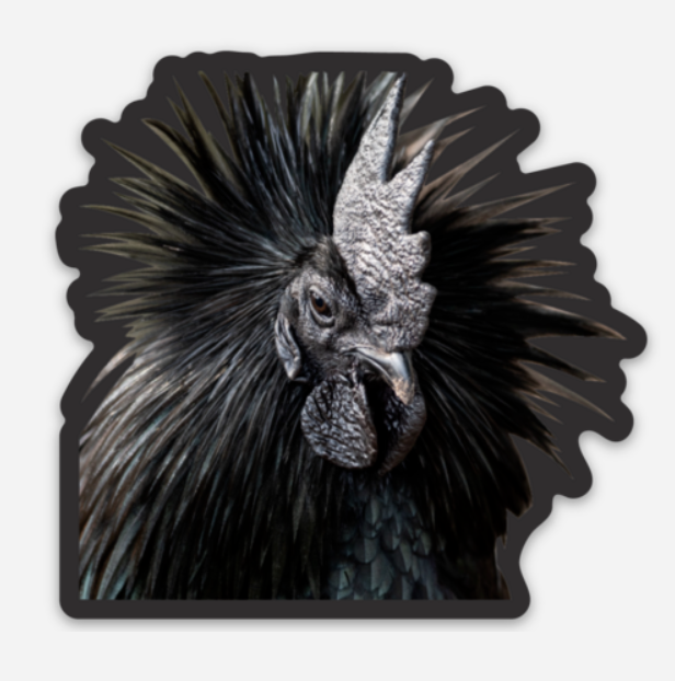 Limited Edition Goth Chicken Sticker