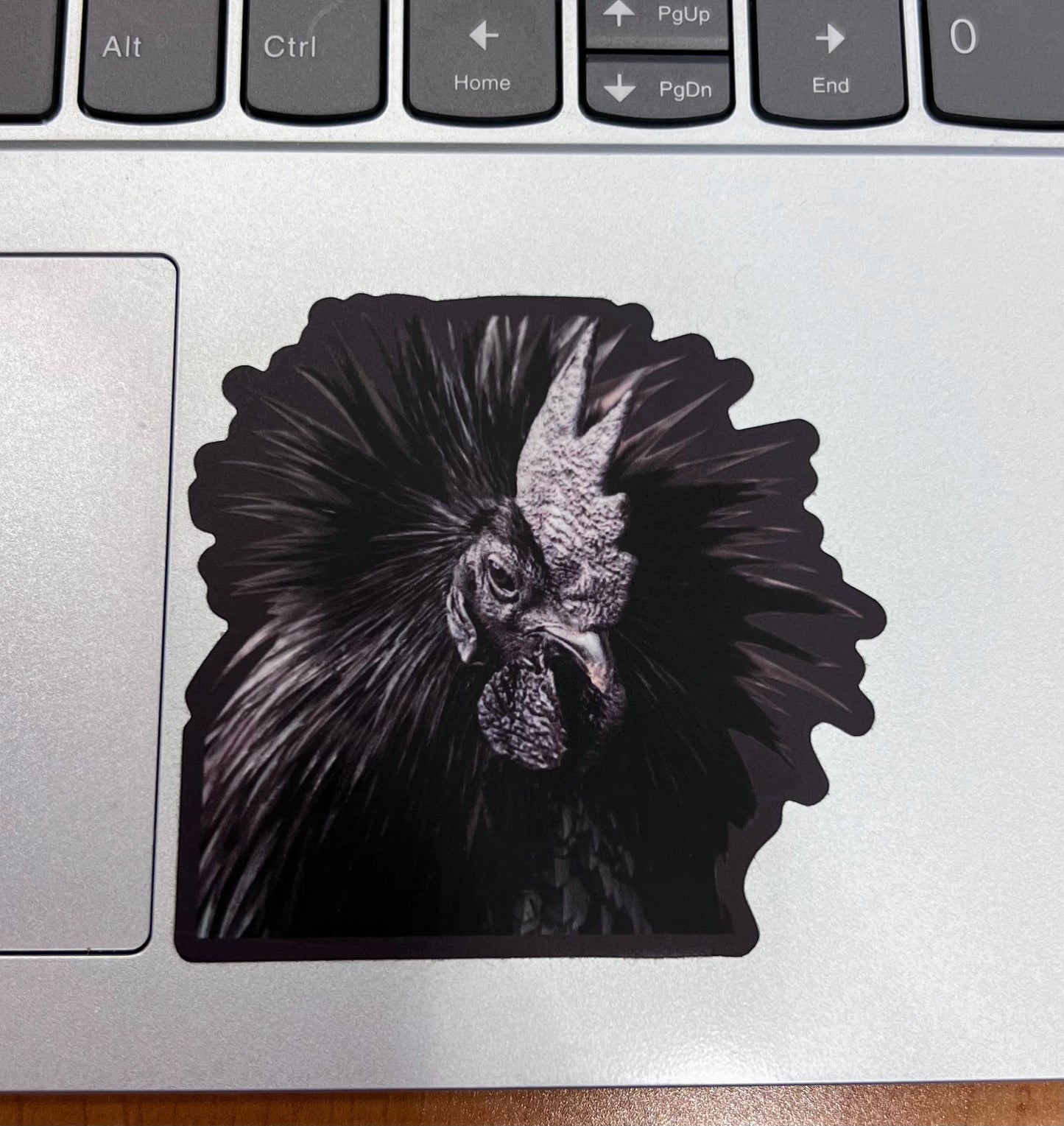 Limited Edition Goth Chicken Sticker